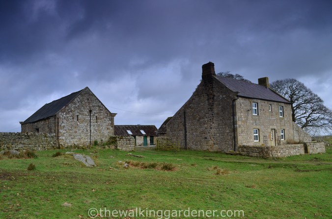 Great Chesters Farm Hadrian's Wall