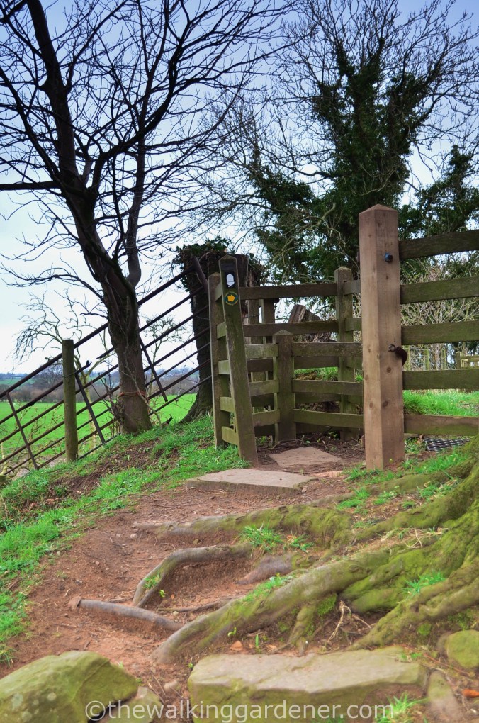 Hadrian Walls Path Carlisle to Gilsland (1)