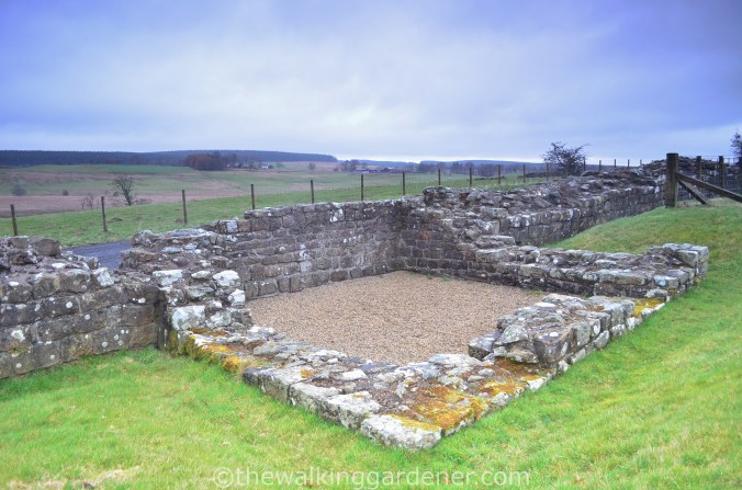 Hadrian Walls Path Carlisle to Gilsland (16)