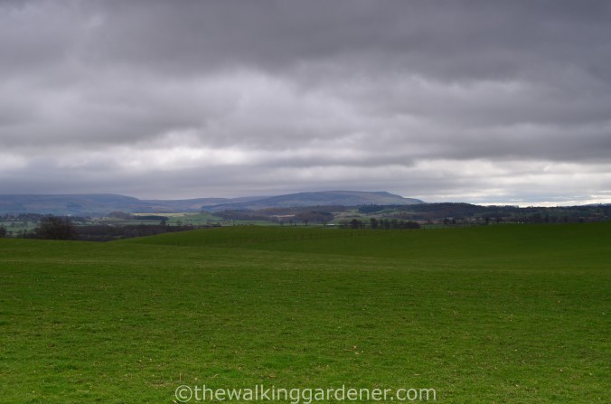 Hadrian Walls Path Carlisle to Gilsland (3)