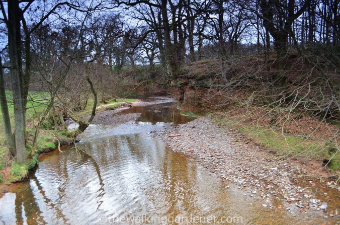 Hadrian Walls Path Carlisle to Gilsland (7)