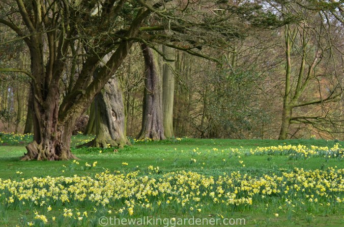 Hadrians Wall Path (4)