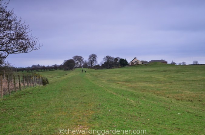 Hadrians Wall Path (6)