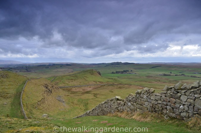 Hadrian's Wall Path