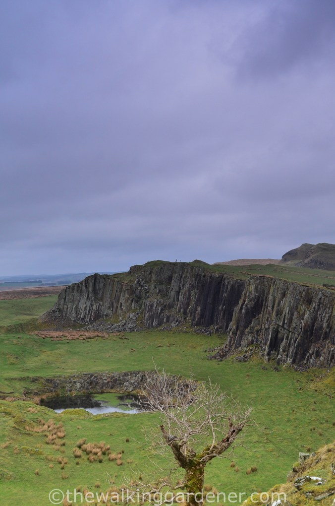 Hadrian's Wall Path Day 2 (3)