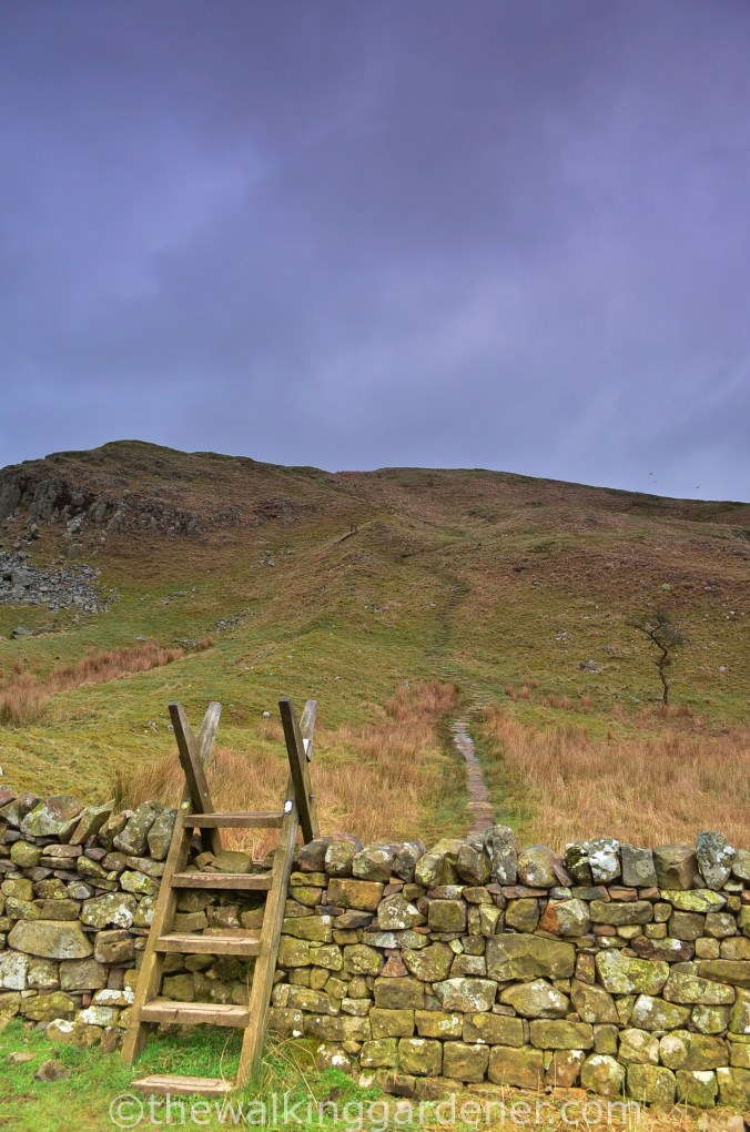 Hadrian's Wall Path Day 2 (5)