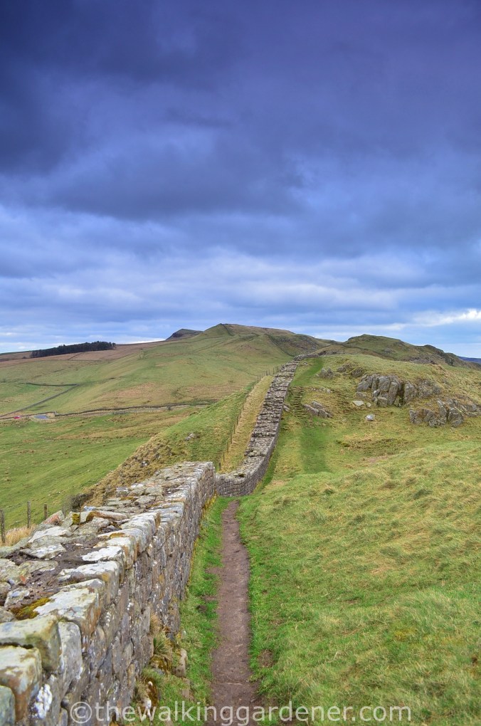 Hadrians Wall Thorny Doors