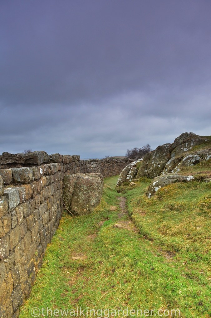 Hadrians Wall Walltown Crags 02