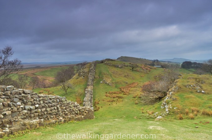 Hadrians wall walltown Crags 03