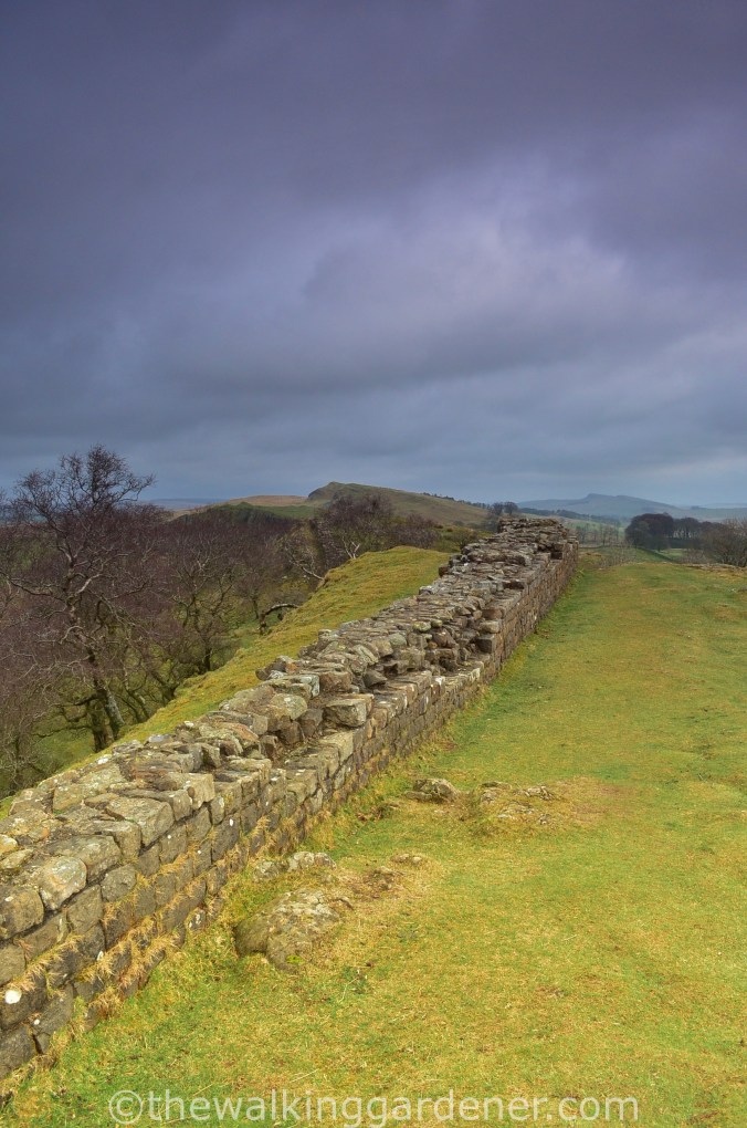 Hadrians Wall Walltown Crags