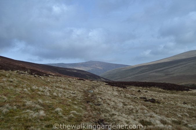 High Pike Cumbria Way (2)