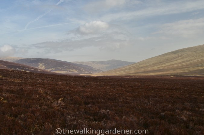 High Pike Cumbria Way