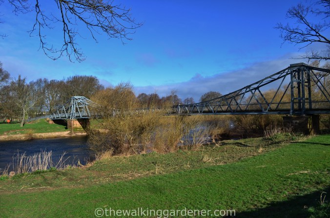 River Eden Carlisle (2)