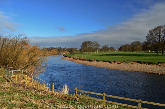 River Eden Carlisle