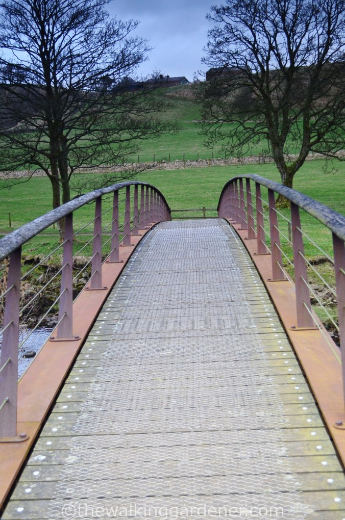 River Irthing Bridge (1)
