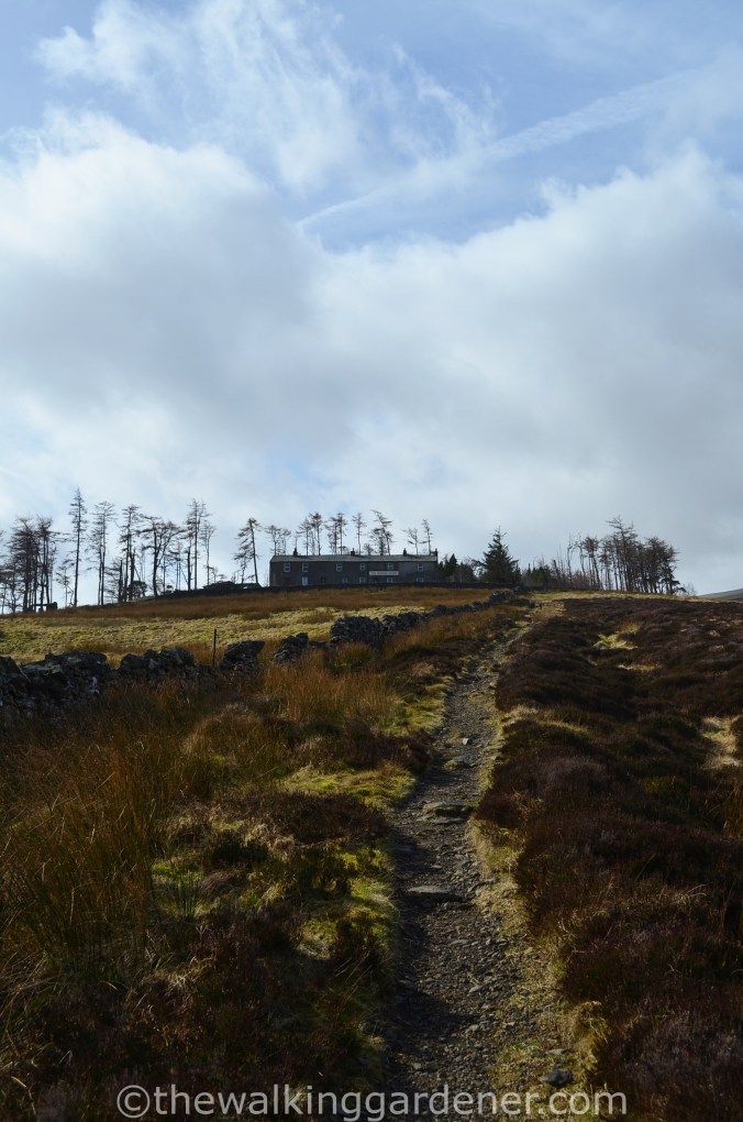 Skiddaw House Youth Hostel