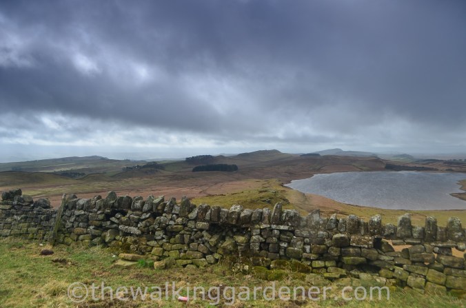 Broomlee Lough Hadrian's Wall (2)