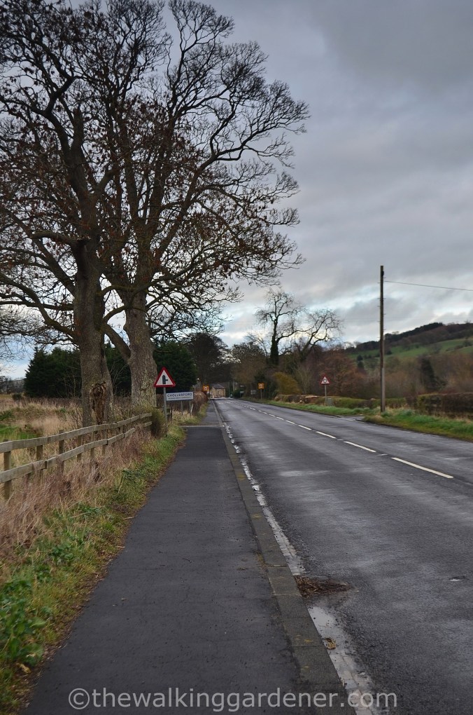Chollerford Hadrian's Wall Path