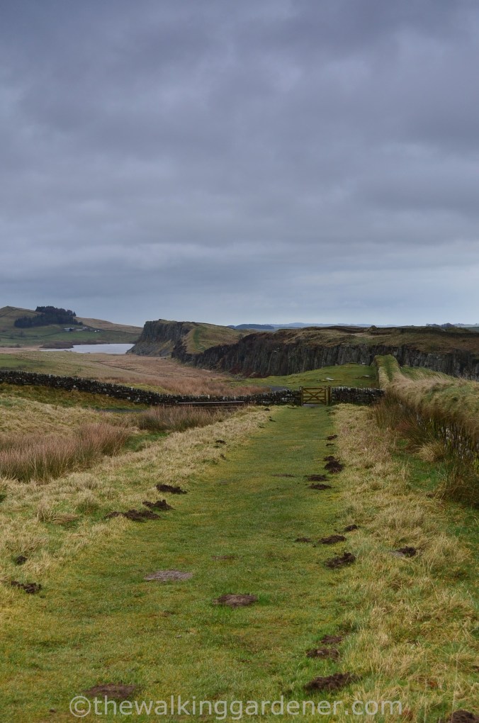 Hadrian's Wall Path Steel Rigg to Wall (1)