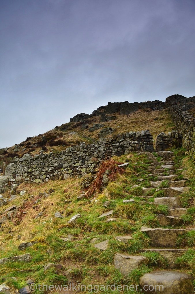 Hadrian's Wall Path Steel Rigg to Wall (2)