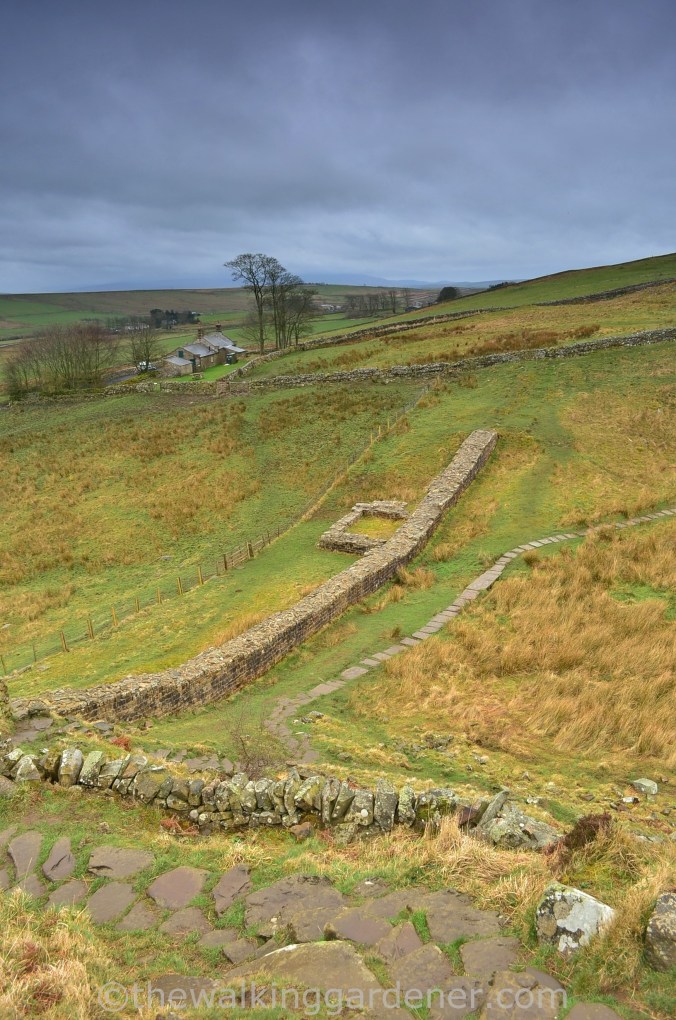 Hadrian's Wall Path Steel Rigg to Wall (3)