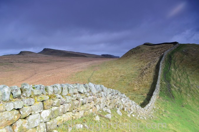 Hadrian's Wall Path Steel Rigg to Wall (4)