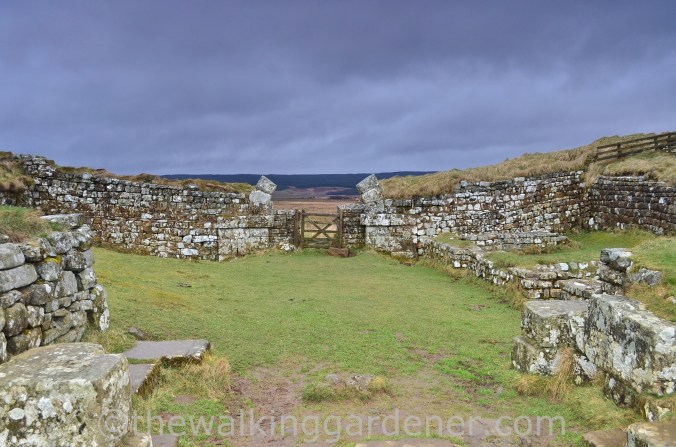 Milecastle 37 (2)