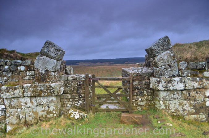 Milecastle 37