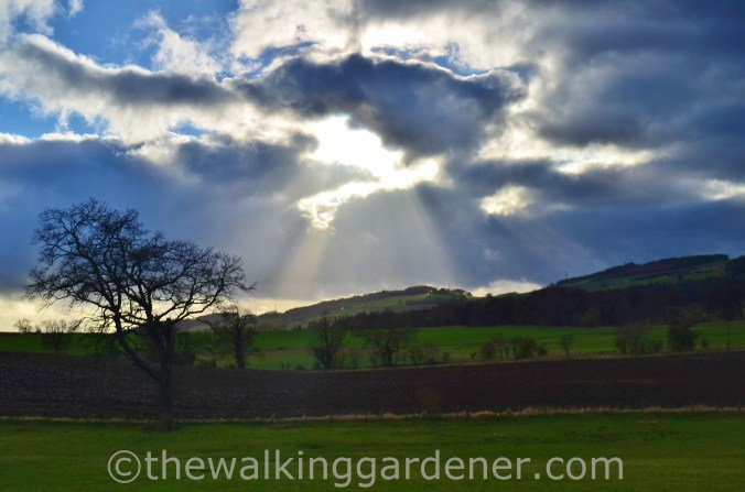River North Tyne Hadrian's Wall (2)