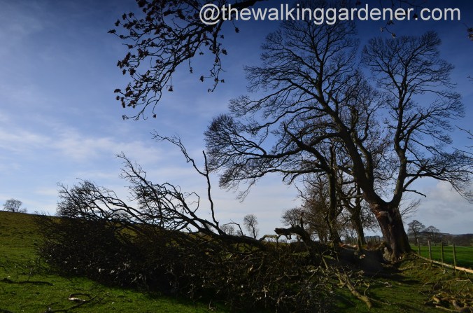 St Oswalds Way Day 1