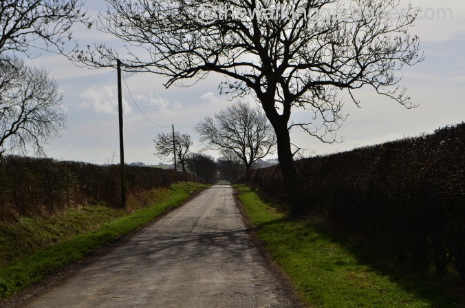 St Oswalds Way Day 1 (15)