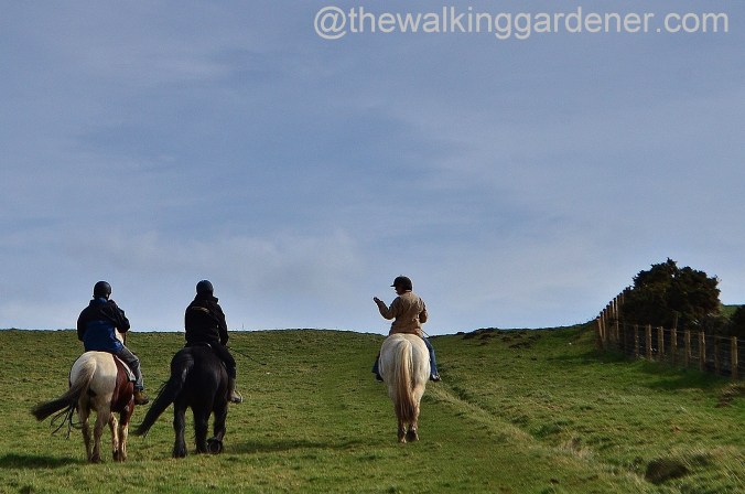 St Oswalds Way Day 1