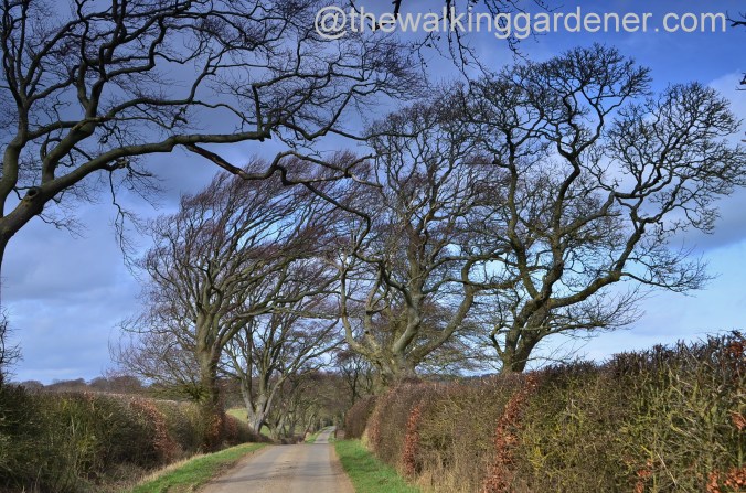 St Oswalds Way Day 1