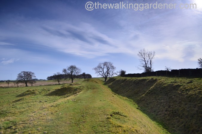 St Oswalds Way Day 1