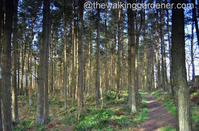 St Oswalds Way Day 1