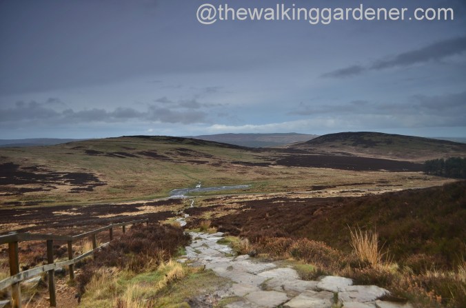 St Oswalds Way Day 2