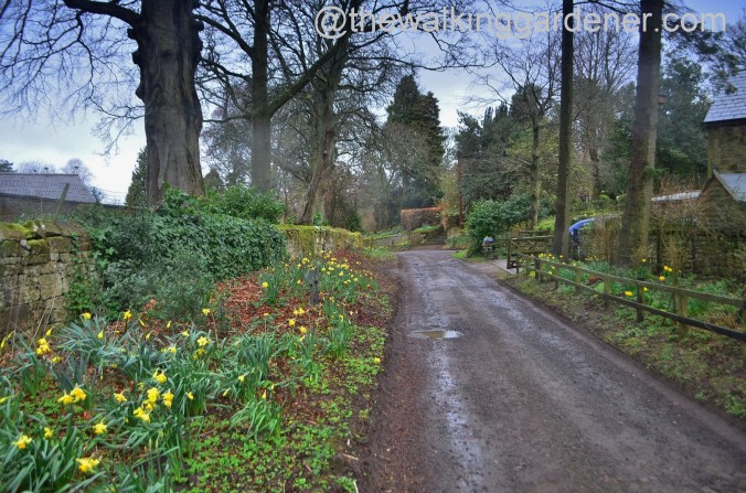 St Oswalds Way Day 2