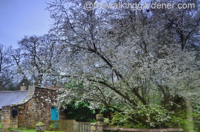 St Oswalds Way Day 2 (25)