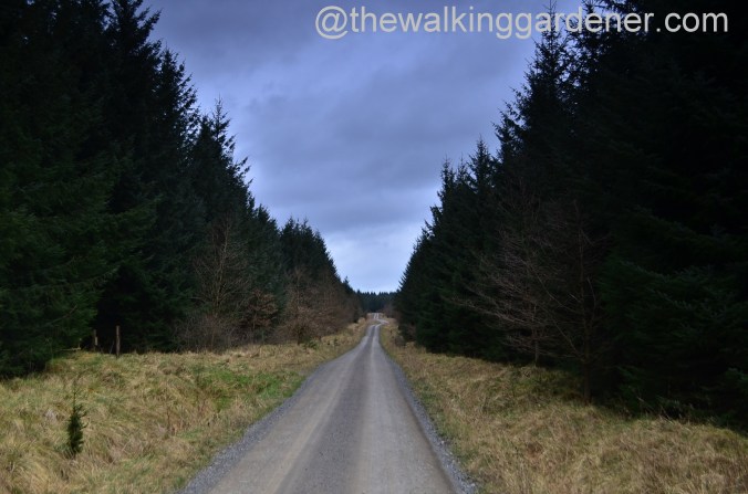 St Oswalds Way Day 2