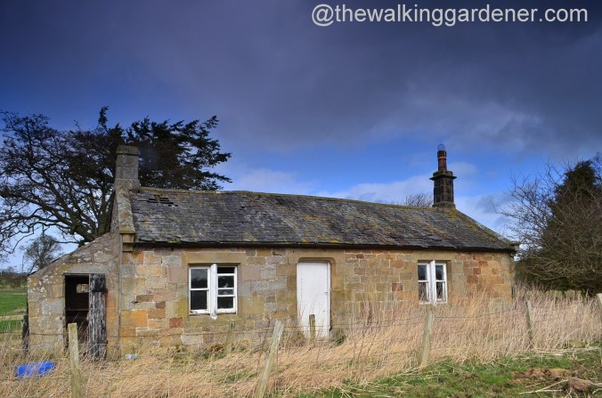St Oswald's Way Day 3