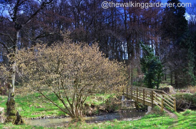 St Oswald's Way Day 3