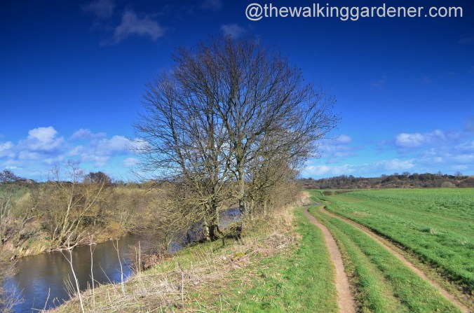 St Oswald's Way Day 3