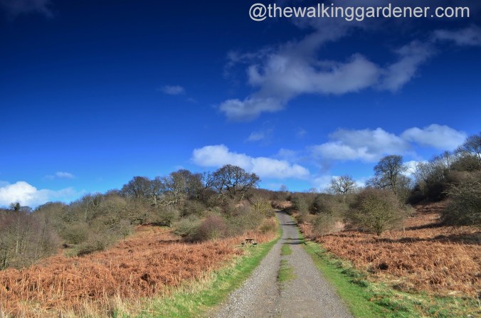 St Oswald's Way Day 3