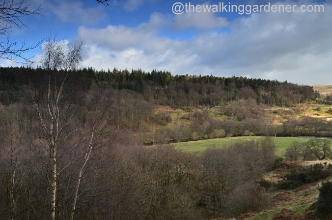 St Oswald's Way Day 3