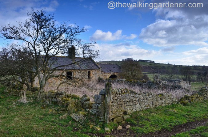 St Oswald's Way Day 3