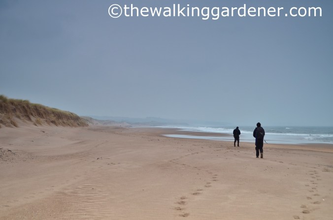 St Oswalds Way Day 7 (16)