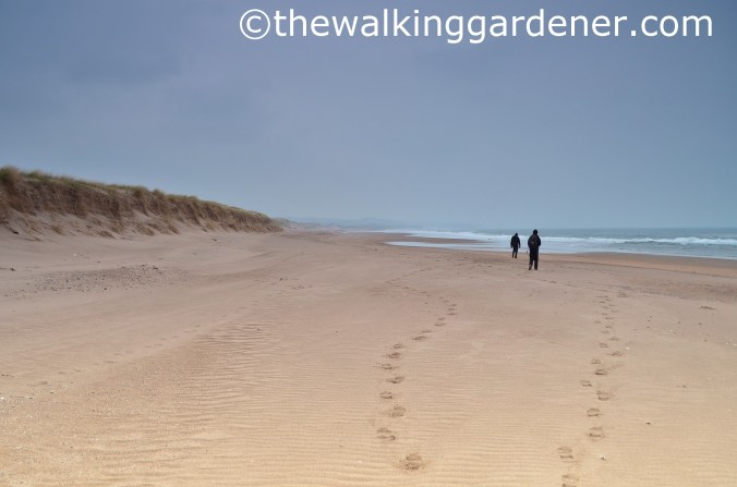 St Oswalds Way Day 7 (17)