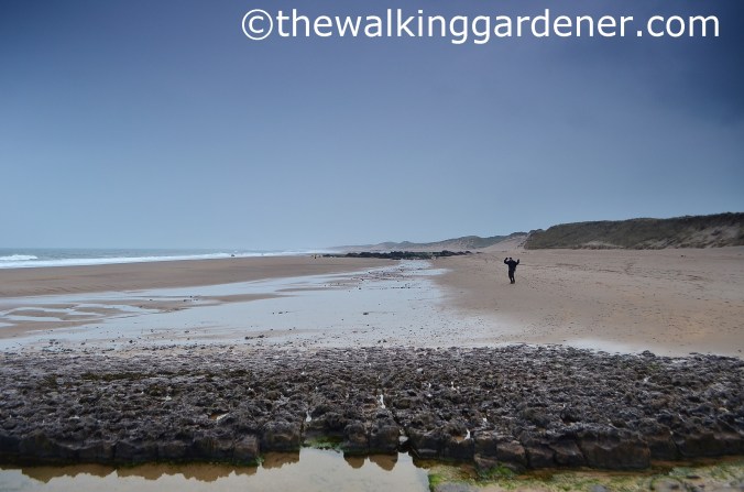 St Oswalds Way Day 7 (18)