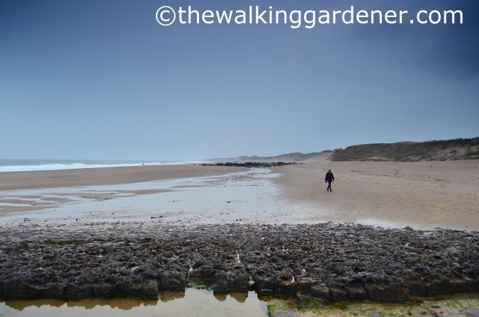 St Oswalds Way Day 7 (19)