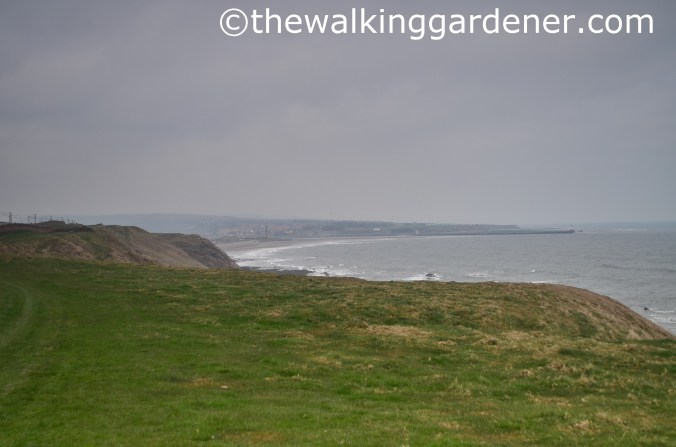 St Oswalds Way Day 7 (23)